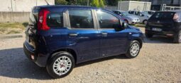 
										FIAT Panda 1.2 Lounge full									